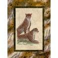 thumbnail image 2 of Kruskamp, Janet 19x24 White Modern Wood Framed Museum Art Print Titled - Cheetahs, 2 of 4