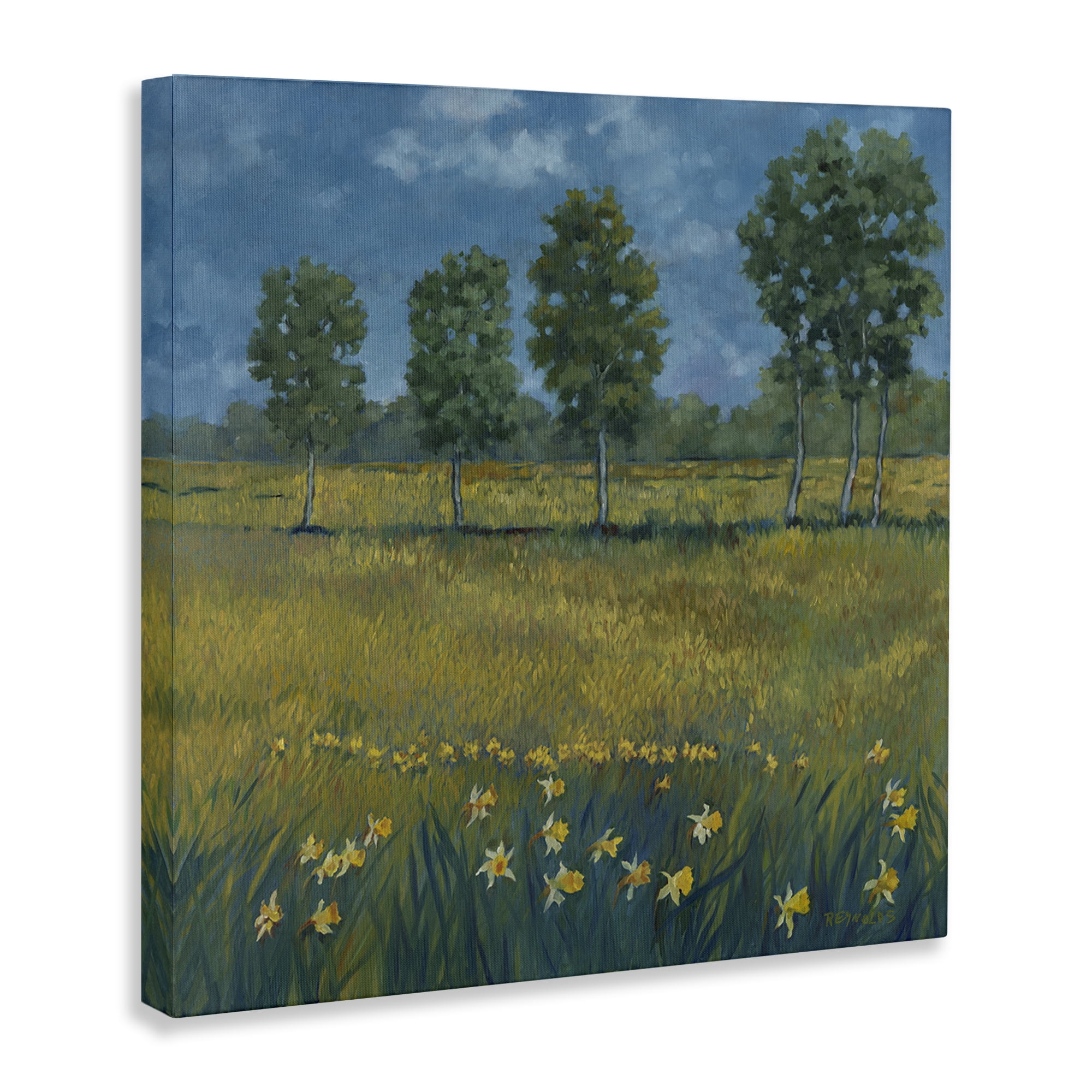 Stupell Industries Meadow with Daffodils Landscape & Nature Painting Wrapped Canvas Art Print Wall Art, 24 x 24