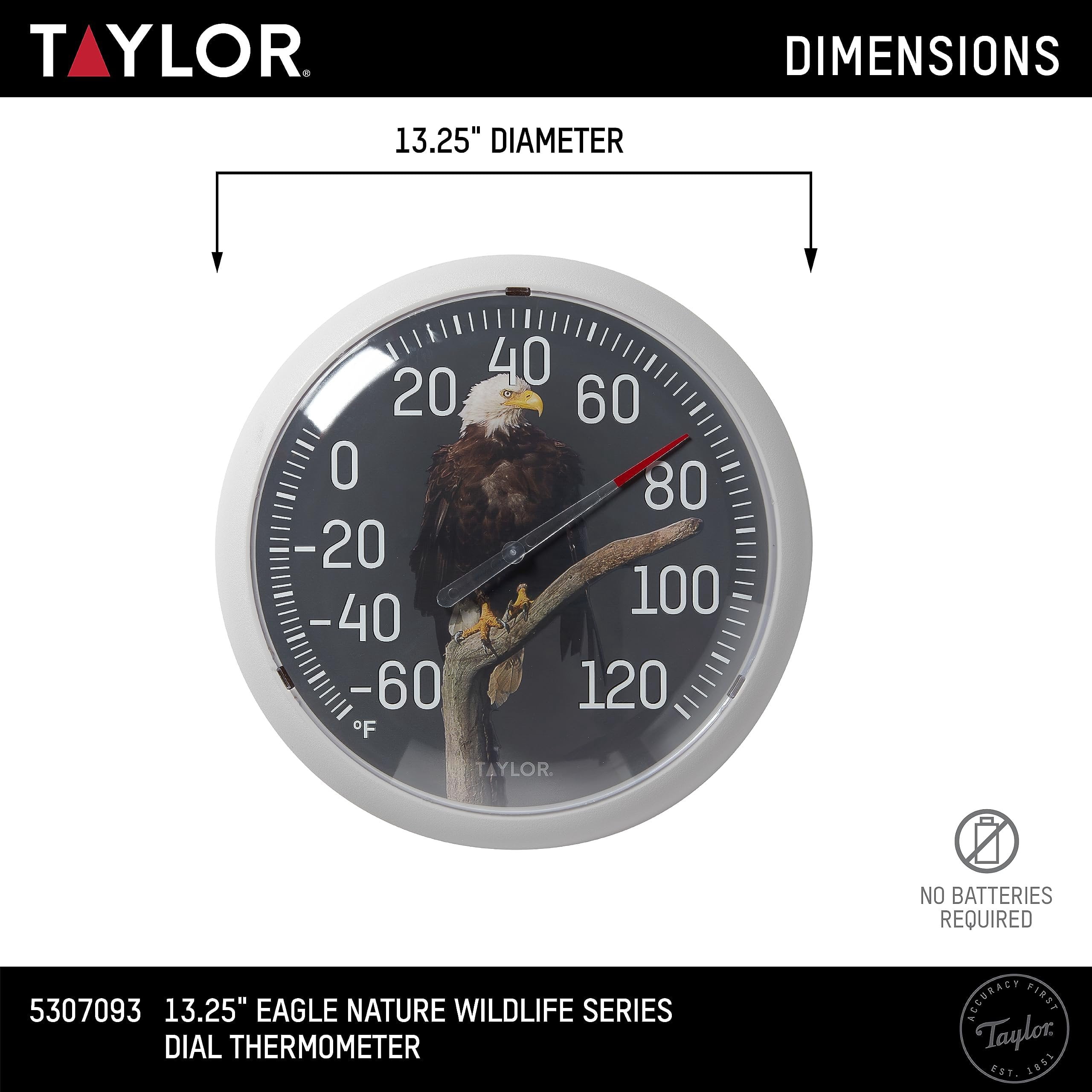 Taylor Nature Series Eagle Indoor Outdoor Dial Thermometer, Easy to Read Wall Decor for Patio, Pool, Yard, Garden or Garage, 13.25 Inch, Gray Bezel