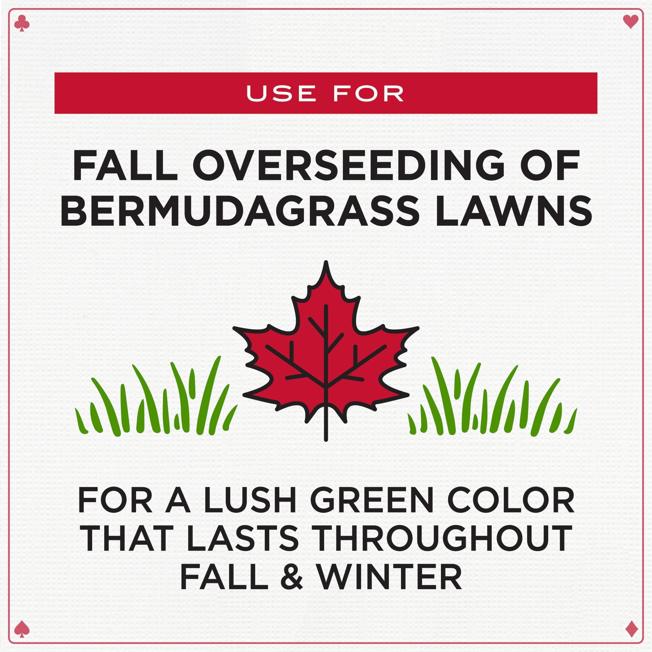 Pennington Royal Flush Overseeding Blend 50 lb