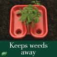 thumbnail image 3 of Dalen Gardeneer Tomato Tray Super Boost – Increases Tomato Plant Yield up to 40% – Easy to Install – 12" x 12" x 3.5" – Pack of 3, 3 of 6