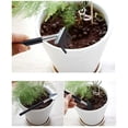 thumbnail image 4 of Herramientas para plantas suculentas, mini jardín, trasplante manual, herramientas suculentas, plantación en miniatura, juego para el cuidado de plantas de jardín de hadas en miniatura para, 4 of 5