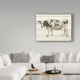 thumbnail image 3 of Trademark Fine Art 'Country Cow VI' Canvas Art by James Wiens, 3 of 3