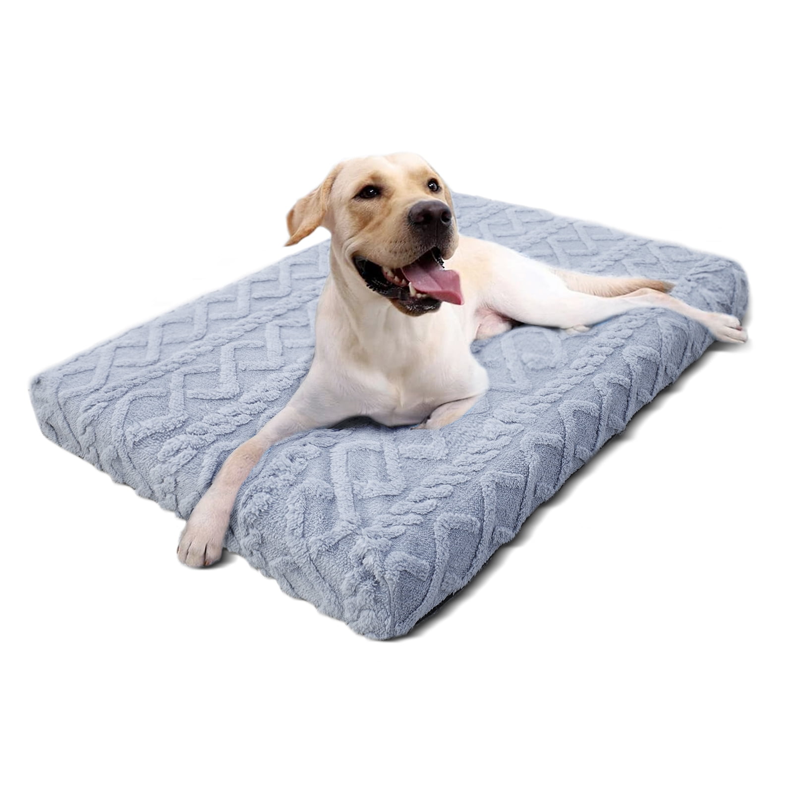 What Size Dog Bed Does A Labrador Need