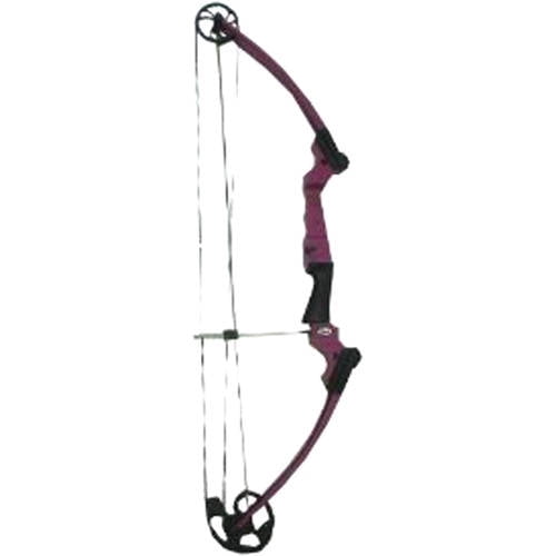 Genesis Archery Original Universal Purple Compound Practice Bow, Right
