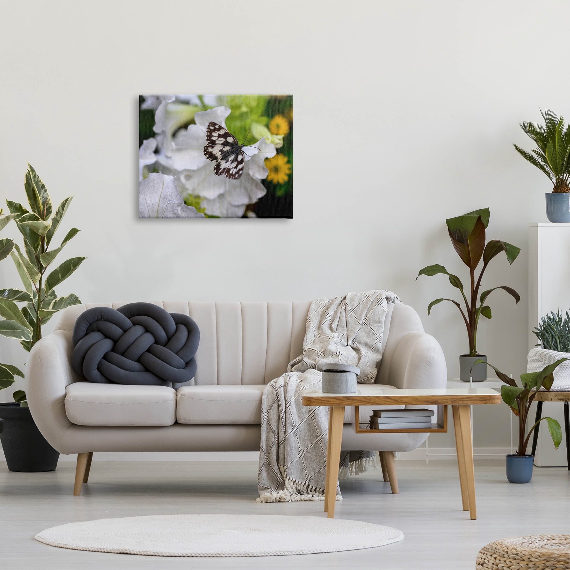 Stupell Industries Butterfly Geranium Blossom Photograph Gallery Wrapped Canvas Print Wall Art, Design by Daphne Polselli