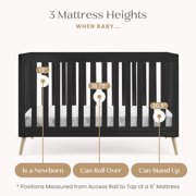 Delta Children Essex 4-in-1 Convertible Baby Crib - Greenguard Gold Certified, Ebony/Natural