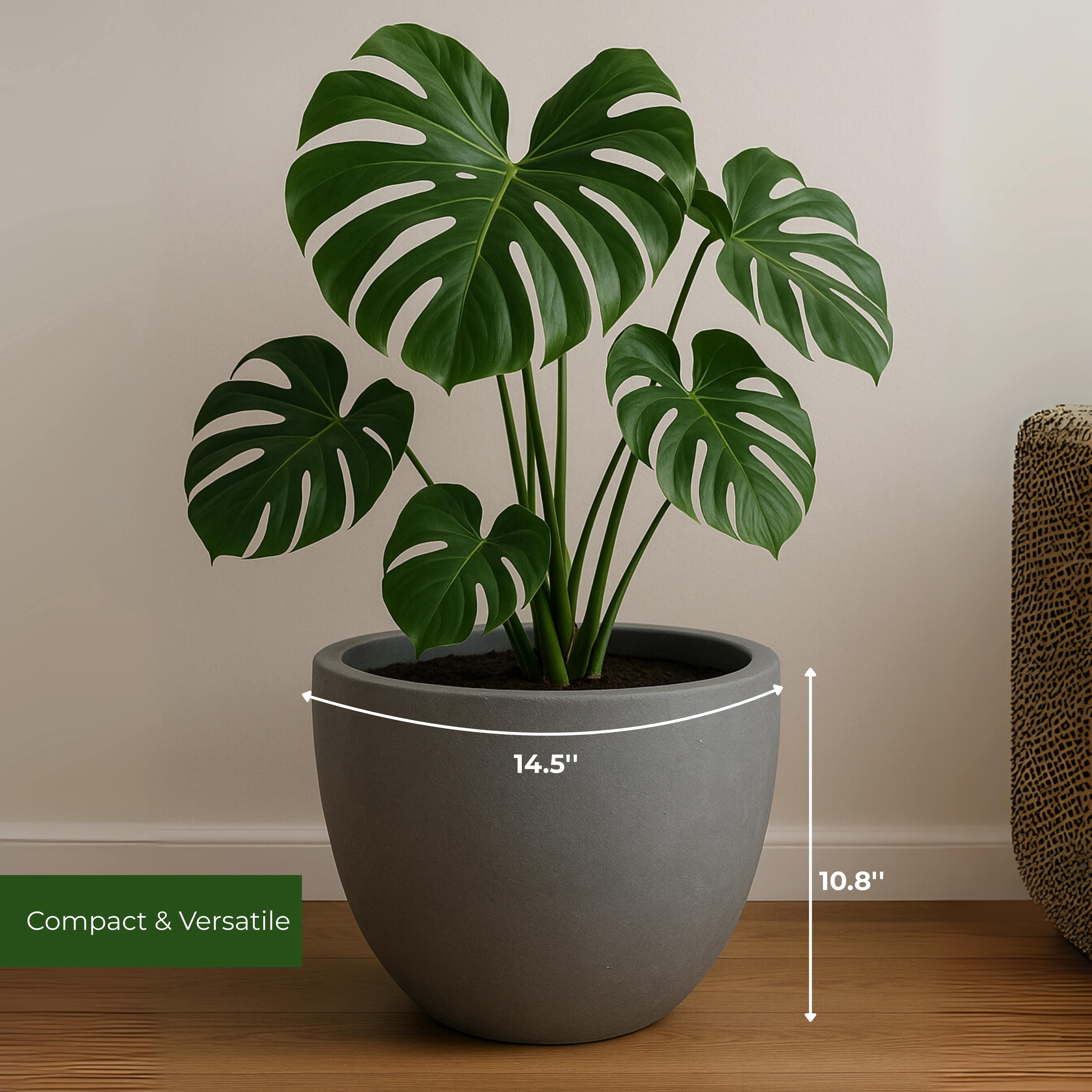LeisureMod Dahlia Mid-Century Tapered Round Planter, Fiberstone & MgO Clay, Indoor/Outdoor Plant Pot