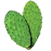 Maxx Herb Organic Nopal Cactus Leaf Powder, Fiber for Gut Health & Digestive Support, 10 Oz