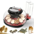 thumbnail image 1 of Automatic For Egg Incubator For 12 Eggs: Humidity Control & 360° Viewing! - Random color, 1 of 7