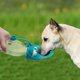 thumbnail image 2 of Botella de agua para perros para caminar, dispensador de agua para mascotas, contenedor portátil con taza para beber, cuenco para senderismo al aire libre, viajes para cachorros, gatos, háms, 2 of 4