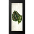 thumbnail image 2 of Allen, Kimberly 12x24 Black Modern Framed Museum Art Print Titled - Botanical Greens 3, 2 of 5