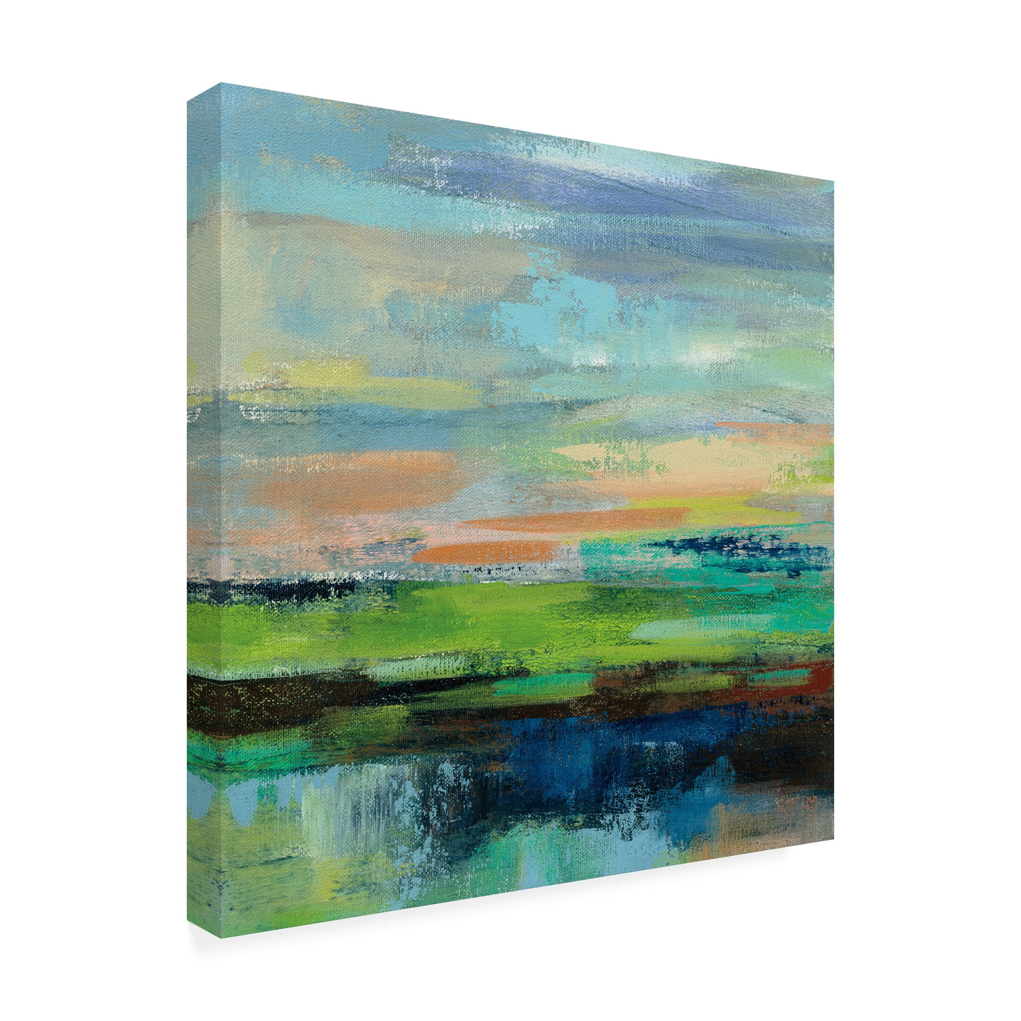 Trademark Fine Art 'Delmar Sunset II' Canvas Art by Silvia Vassileva