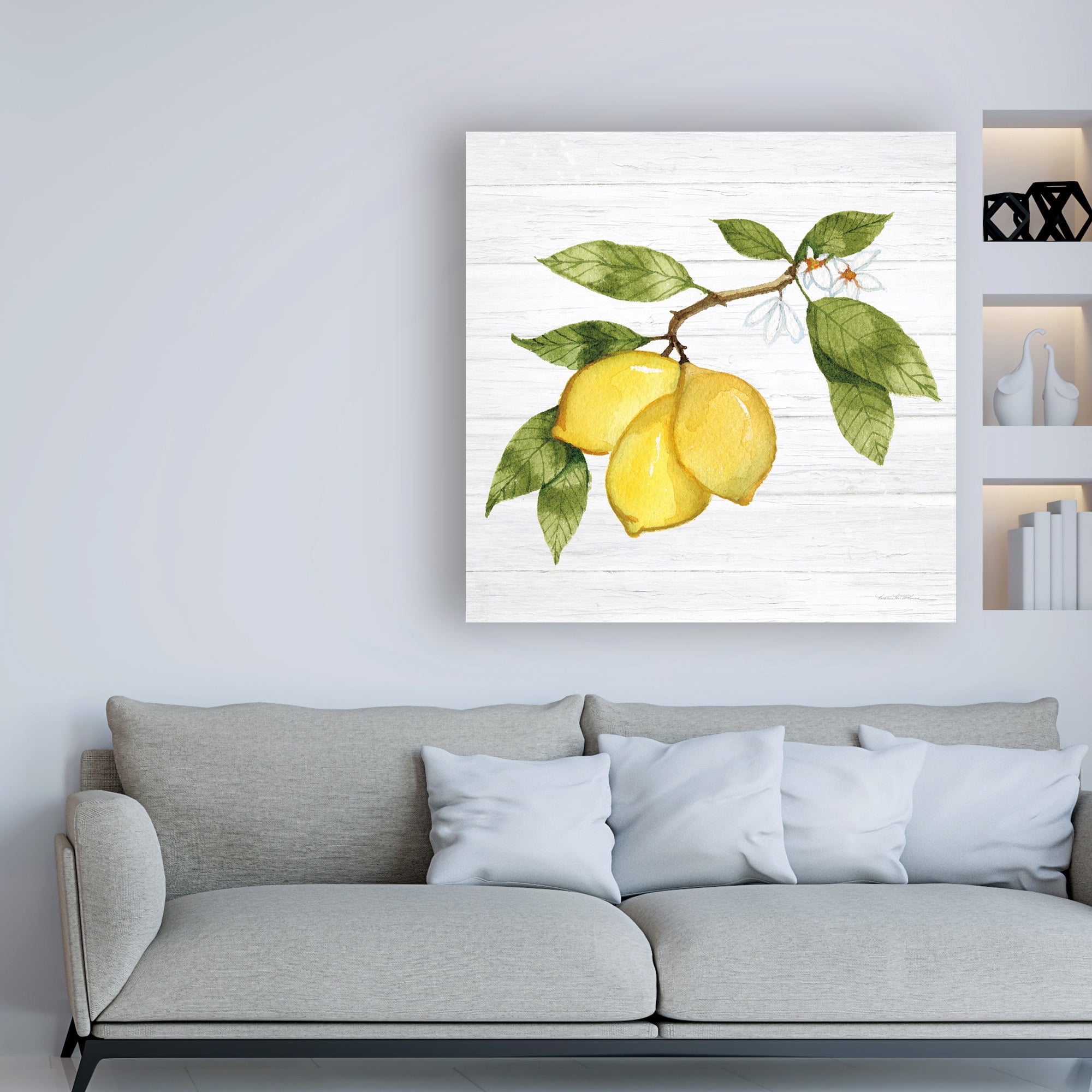 Trademark Fine Art 'Citrus Garden I Shiplap' Canvas Art by Kathleen Parr McKenna