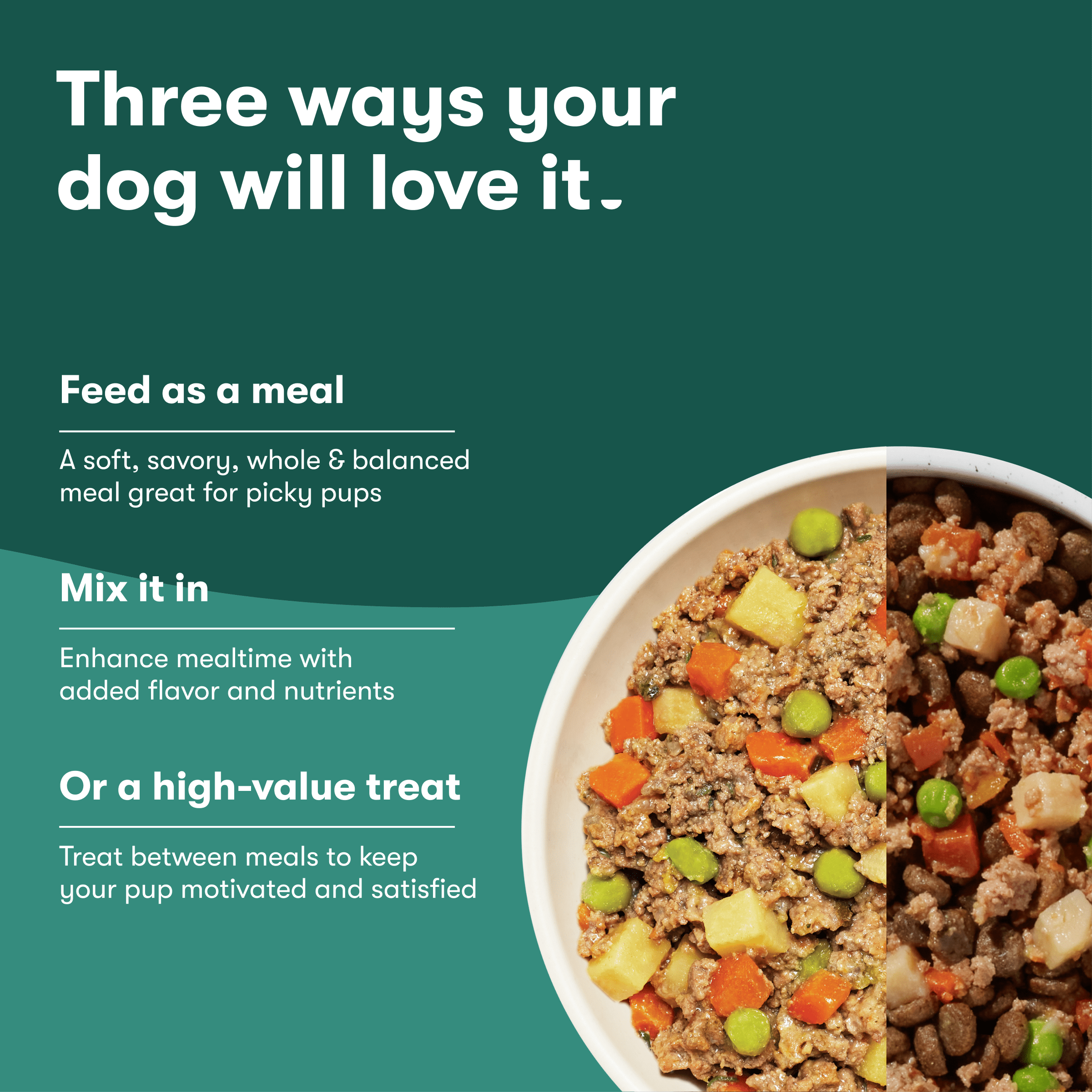 (3 pack) Jinx Homemades Beef & Chicken Recipe Wet Natural Dog Food, 9 oz Pouch