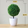 thumbnail image 5 of Walbest Artificial Bonsai Lifelike Grass Ball Plant Potted Non-fading Plastic Simulation Bonsai Tree Plants Flowers, Home Office Desktop Decorative Ornament, 5 of 7