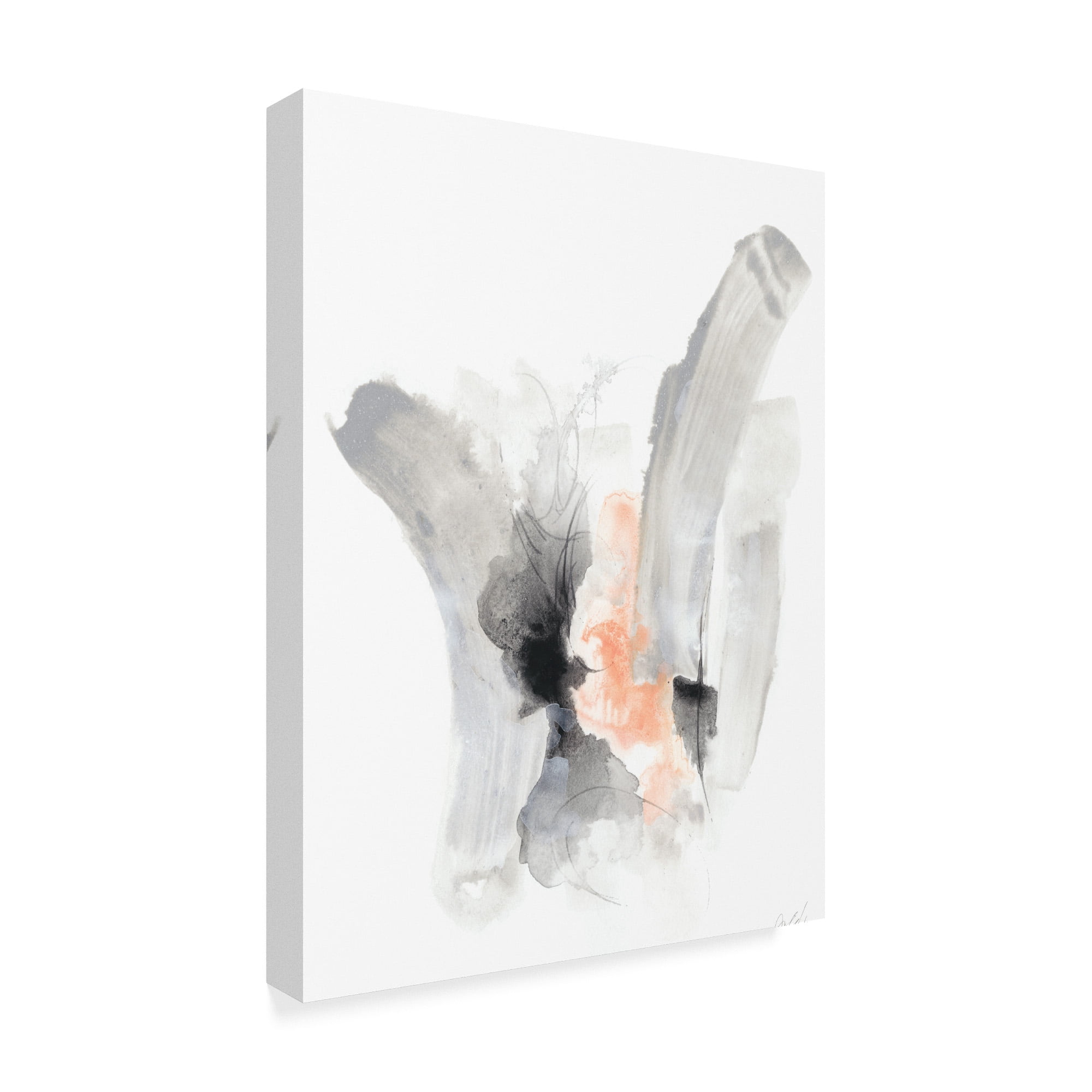 Trademark Fine Art 'Swipe II' Canvas Art by June Erica Vess