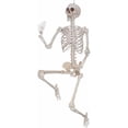 thumbnail image 2 of Halloween Decoration: 5' Pose and Hold Skeleton, 2 of 2