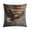 Pattern-3, variant on 16"x16" Pillow Cover Bald Eagle Flying American Flag Farmhouse Decorative Throw Pillow Coves Cushion Case Decoration USA Patriotic 4th of July Independence Memorial Day Outdoor Pillows