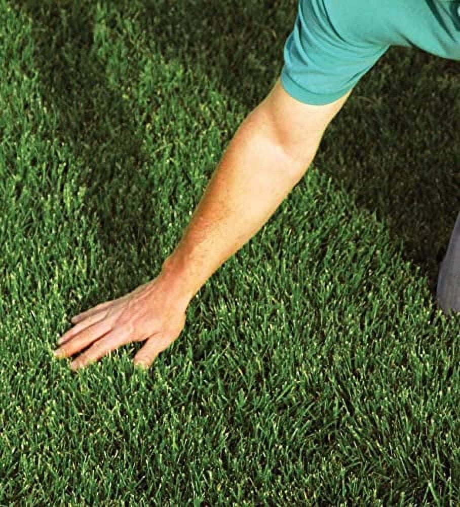 EZ-Straw Seeding Mulch with Tack - Biodegradable Processed Straw ? 2.5 CU FT Bale (Covers up to 500 sq. ft.) (3 Pack)