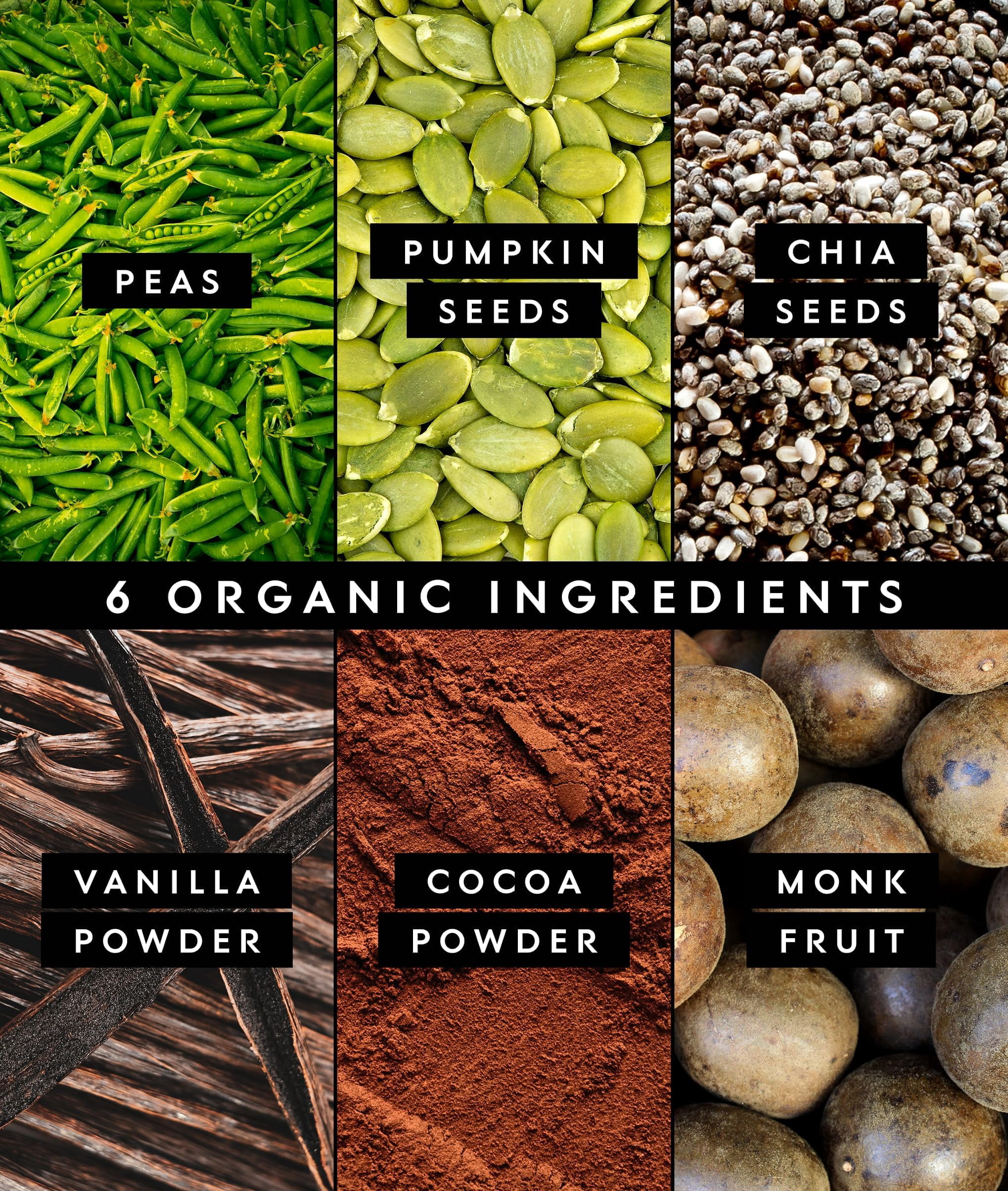 Truvani Vegan Pea Protein Powder | Chocolate | 20g Organic Plant Based Protein | 10 Travel Packets | Keto | Gluten & Dairy Free | Low Carb | No Added Sugar