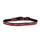 thumbnail image 3 of Collar NFL para perro raza mediana Kansas City Chiefs 100% oficial, 3 of 6