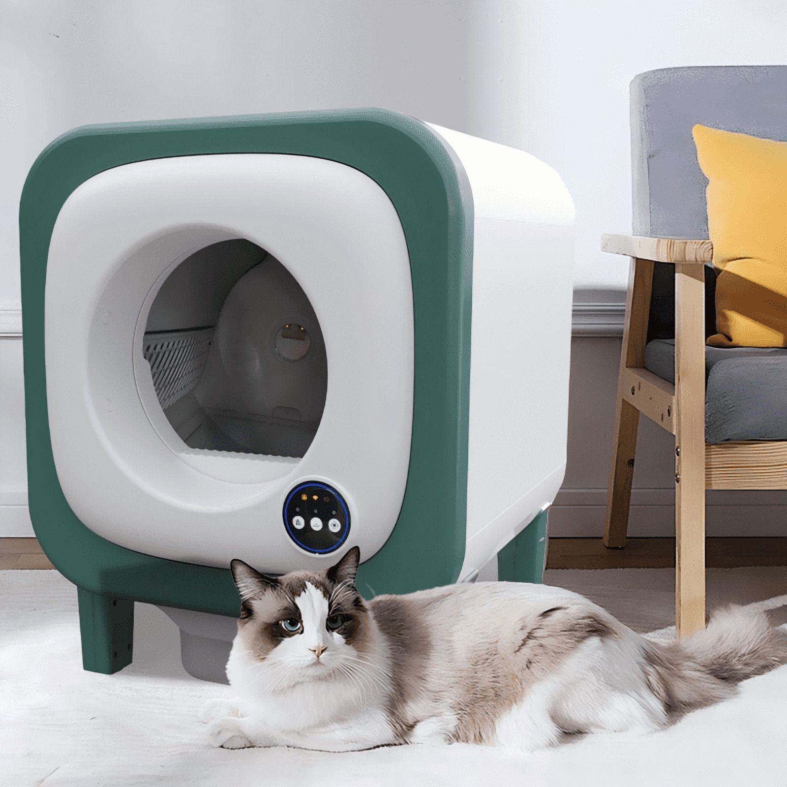 Automatic Cat Toilet with Large Capacity, Multi-Cat Recognition and App Control