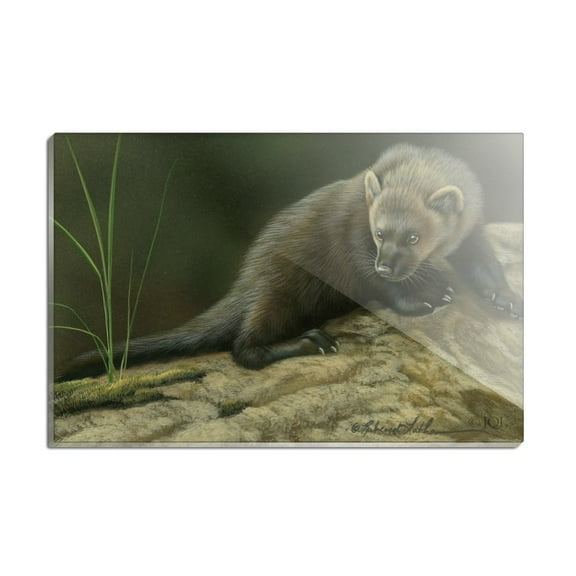Fisher Cat Rectangle Acrylic Fridge Refrigerator Magnet
