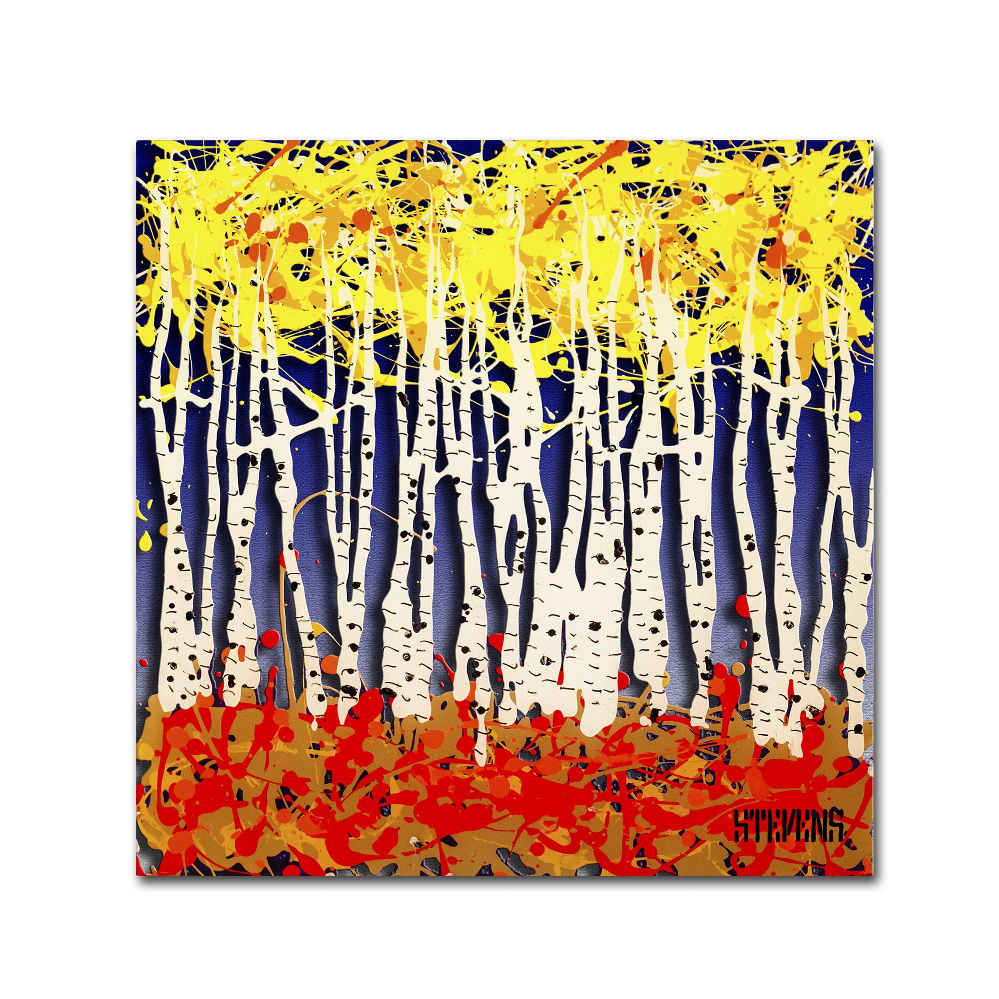 Trademark Fine Art Roderick Stevens 'White Aspens' 24 x 24 (RS994-C2424GG)