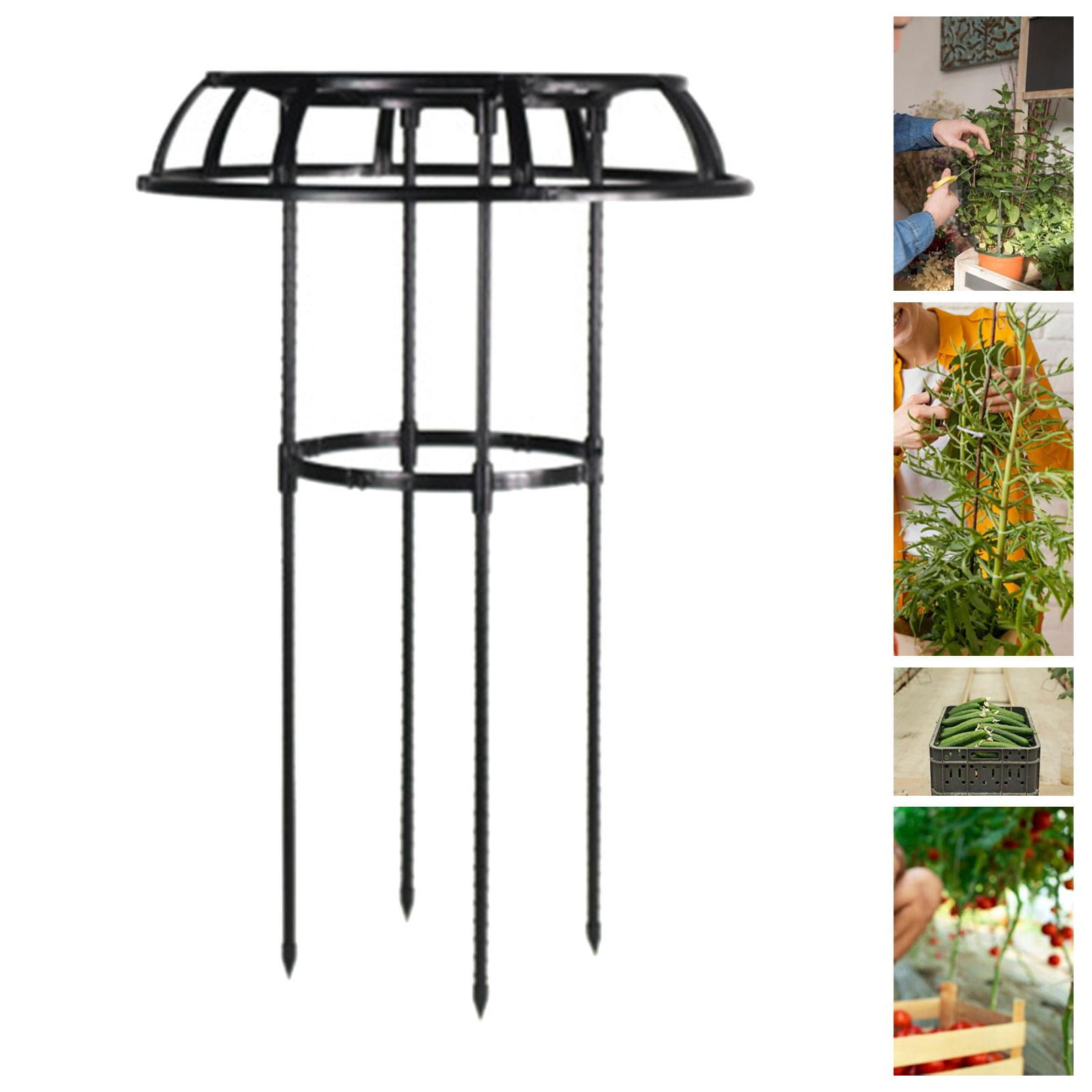 figatia Garden Trellis Plant Support Trellis Decorative Tools Black Vertical Multipurpose,Metal Plant Trellis Tomato Cage for Flowers 75x50cm