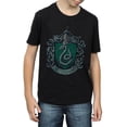 thumbnail image 1 of Harry Potter T-Shirt Garçon en Coton Déchiré, 1 of 7