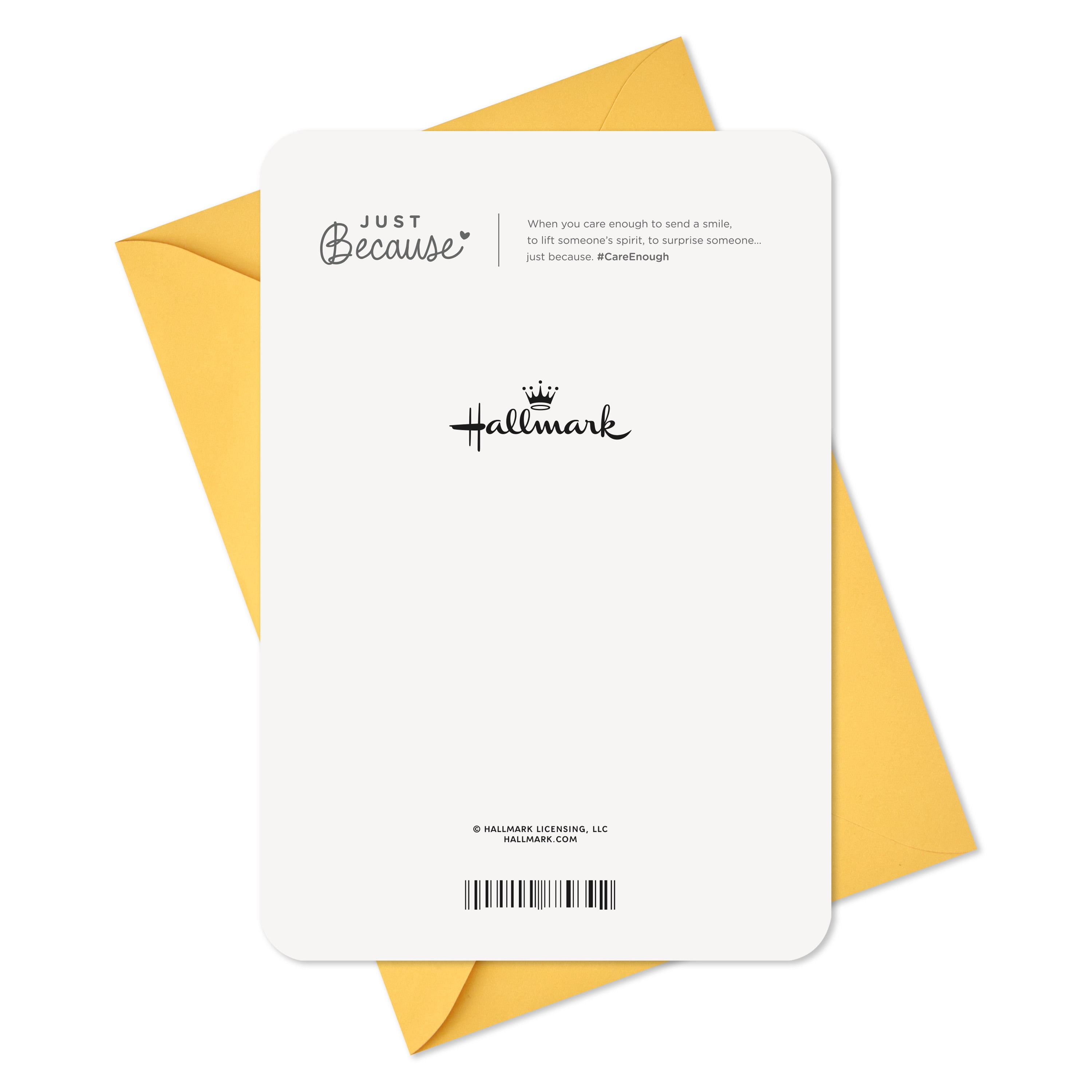 Hallmark Just Because Friendship Card (Grateful for You)