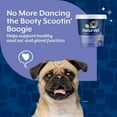 thumbnail image 6 of NaturVet No Scoot for Dogs Plus Pumpkin, Supports Digestion, Healthy Anal Gland & Bowel Function, 60 Soft Chews, 6 of 11