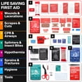 thumbnail image 3 of First Aid Kit SurviveX Small for Car, Travel & Home, 3 of 8