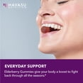 thumbnail image 3 of Havasu Nutrition Elderberry Gummies with Zinc and Vitamin C, Immune Support for Adults, 120 Count, 3 of 9