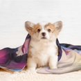 thumbnail image 4 of Naloa Dragon Dog Blanket, 3 Sizes Cat Blanket for Indoor Cats Large Medium Small Dog Gifts-Small, 4 of 8