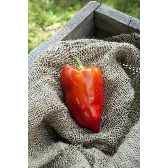 Feher Ozon Feherozon Hungarian Sweet Paprika Pepper Premium Seeds Packet