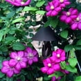 thumbnail image 4 of Rewenti Handcrafted Circular Hanging Metal Feeder Feed Water for Garden Backyard Outdoor Decor, 4 of 7