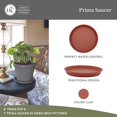 thumbnail image 2 of Platillo para plantas The HC Companies Prima Plastic 36 x 36 x 4,3 cm, 2 of 7