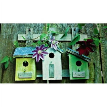 Custom Printed Rugs DM 68 Bird Houses Non Slip Indoor Door Mat, 27 x 18 in.