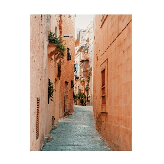 Canvas Wall Art - Krista Broadway 'Fes' Wall Art for Living Room, Bedroom, or Office Décor by Trademark Fine Art - 14 x 19 Inches