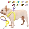 thumbnail image 3 of Multi-Color Pet Chest Strap - Adjustable Anti-Escape Fashion Harness - Traction Leash - Outdoor Use - Secure Pet Walking Gear, 3 of 8