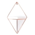 thumbnail image 4 of Coofit Succulent Pot Creative Fashion Planter Pot Hanging Flower Pot for Home Decor, 4 of 6