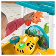 thumbnail image 2 of Andadera Fisher-Price De Dos Lados Primeros Pasos, 2 of 4