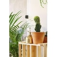 thumbnail image 3 of BRASS PLANT MISTER: Indoor Plant Mister, Terrarium Mister, Orchid Spritzer, Succulent Mister, Nickel Spray Bottle Mister, Plant Sprayer Mister | A Beautiful and Useful Houseplant Accessory, 3 of 4