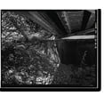 thumbnail image 2 of Historic Framed Print, State Bridge, Spanning Rio Grande River, Del Norte vicinity, Rio Grande County, CO - 13, 17-7/8" x 21-7/8", 2 of 9