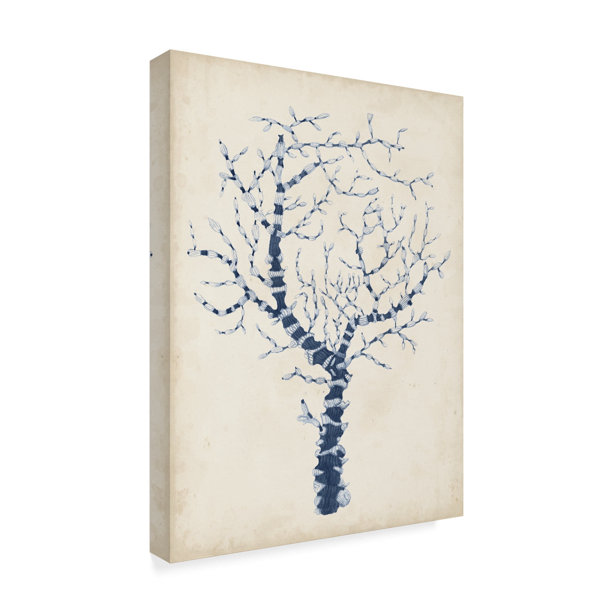 Trademark Fine Art 'Indigo Coral II' Canvas Art by Vision Studio