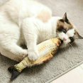 thumbnail image 3 of Alician Électrique en Mouvement Chat USB Kicker Poisson Jouet Réaliste Floping Wiggle Interactif Poisson pour Animal de Compagnie, 3 of 9