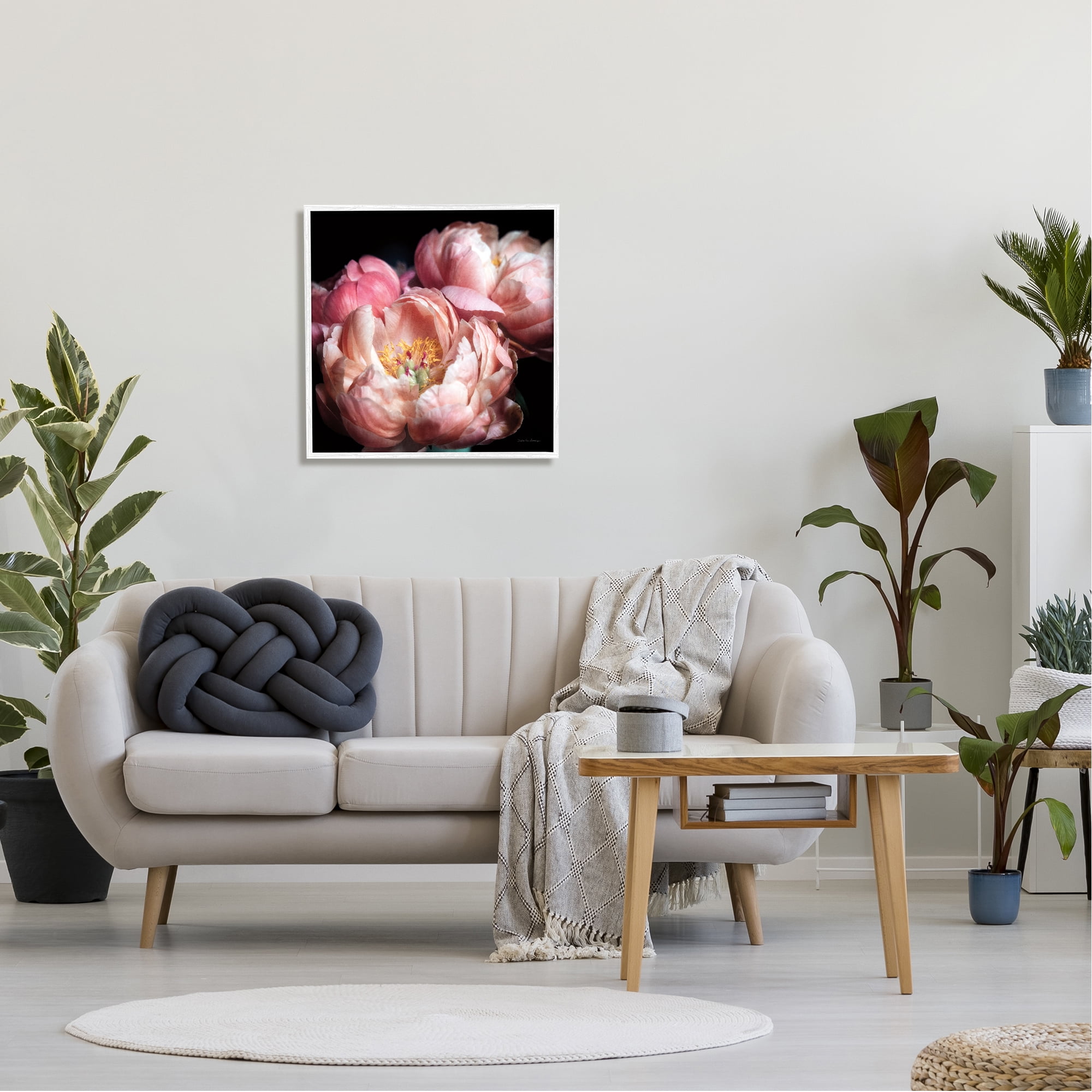 Stupell Industries Blooming Peony Photography Botanical & Floral Photography White Framed Art Print Wall Art, 24 x 24