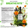 thumbnail image 4 of Mullein Drops for Lungs Liquid Chlorophyll Mullein Leaf Extract Supplement Elderberry Sea Moss Spirulina Chlorella Lobelia Marigold Licorice Marshmallow Lung Detox Cleanse Tincture Men Women 2 fl oz, 4 of 9